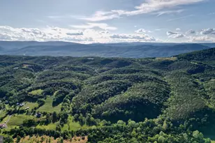 35 Bentwood Dr, Upper Tract, WV 26866 - Photo 5
