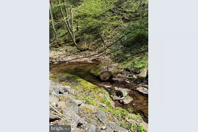 Tract 1 & 2-56.7 Acs Straders Run Road, Seneca Rocks, WV 26884 - Photo 21