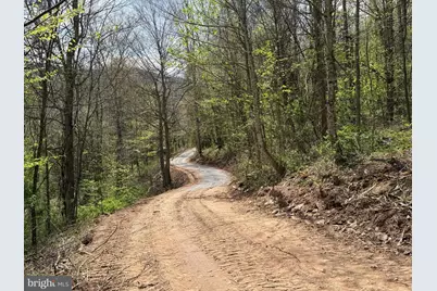 Tract 1 & 2-56.7 Acs Straders Run Road, Seneca Rocks, WV 26884 - Photo 49