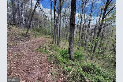 Tract 1 & 2-56.7 Acs Straders Run Road, Seneca Rocks, WV 26884 - Photo 13