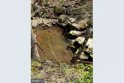Tract 1 & 2-56.7 Acs Straders Run Road, Seneca Rocks, WV 26884 - Photo 11