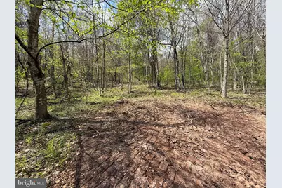 Tract 1 & 2-56.7 Acs Straders Run Road, Seneca Rocks, WV 26884 - Photo 51