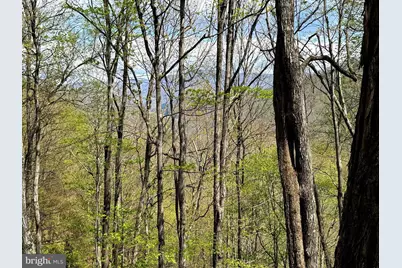 Tract 1 & 2-56.7 Acs Straders Run Road, Seneca Rocks, WV 26884 - Photo 3