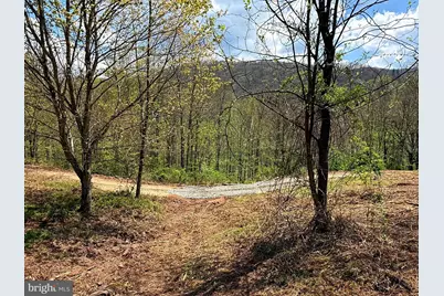 Tract 1 & 2-56.7 Acs Straders Run Road, Seneca Rocks, WV 26884 - Photo 29