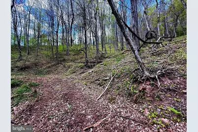 Tract 1 & 2-56.7 Acs Straders Run Road, Seneca Rocks, WV 26884 - Photo 37