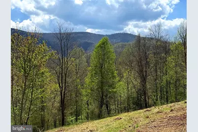 Tract 1 & 2-56.7 Acs Straders Run Road, Seneca Rocks, WV 26884 - Photo 19