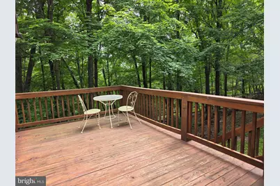565 Scarlet Tanager Trl Trail, Franklin, WV 26807 - Photo 11