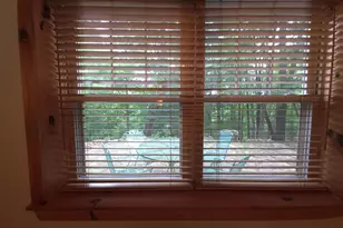 565 Scarlet Tanager Trl, Franklin, WV 26807 - Photo 69