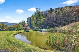 30 Polecat Hollow Blvd, Franklin, WV 26807 - Photo 49