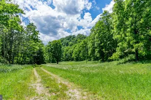 1862 Hawbush Rd, Circleville, WV 26804 - Photo 17
