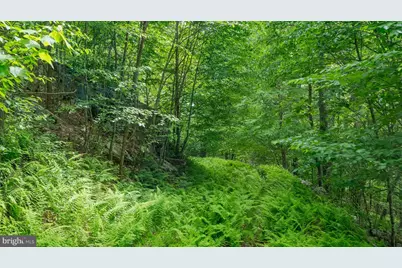 1862 Hawbush Road, Circleville, WV 26804 - Photo 35