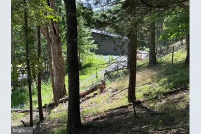 279 Waterline Drive, Upper Tract, WV 26866 - Photo 47
