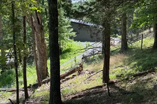 279 Water Line Dr, Upper Tract, WV 26866 - Photo 47
