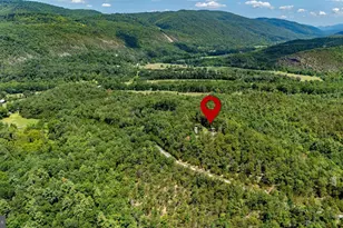 291 Grace Mountain Rd, Brandywine, WV 26802 - Photo 67
