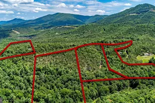 291 Grace Mountain Rd, Brandywine, WV 26802 - Photo 71