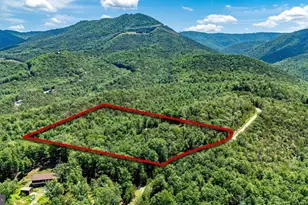 291 Grace Mountain Rd, Brandywine, WV 26802 - Photo 65
