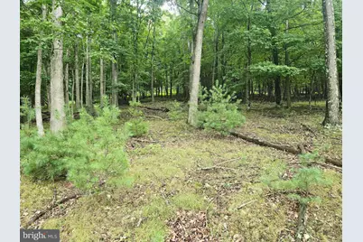 Lot 21 Fairway Ln, Franklin, WV 26807 - Photo 1