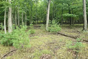 Lot 21 Fairway Ln, Franklin, WV 26807 - Photo 1
