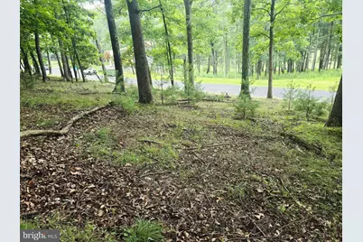 Lot 21 Fairway Ln, Franklin, WV 26807 - Photo 5