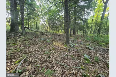 Lot # 9 Highland Ridge, Franklin, WV 26807 - Photo 13