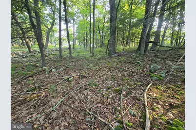 Lot # 9 Highland Ridge, Franklin, WV 26807 - Photo 11