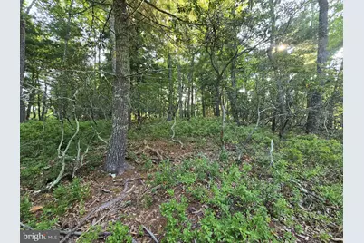 Lot # 9 Highland Ridge, Franklin, WV 26807 - Photo 5
