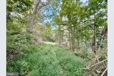 Lot 11 Smith Heights, Franklin, WV 26807 - Photo 3