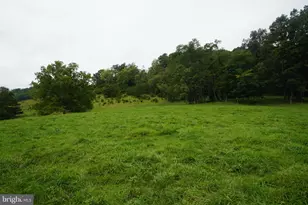 242 Newman Ln, Franklin, WV 26807 - Photo 31