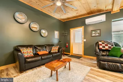 541 Spruce Street, Thomas, WV 26292 - Photo 45