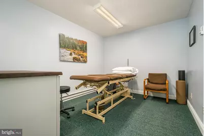 541 Spruce Street, Thomas, WV 26292 - Photo 37