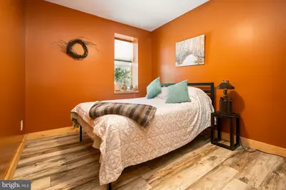 541 Spruce Street, Thomas, WV 26292 - Photo 49