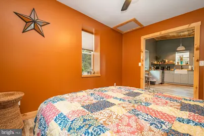 541 Spruce Street, Thomas, WV 26292 - Photo 61