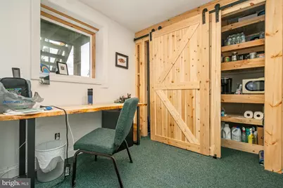 541 Spruce Street, Thomas, WV 26292 - Photo 33