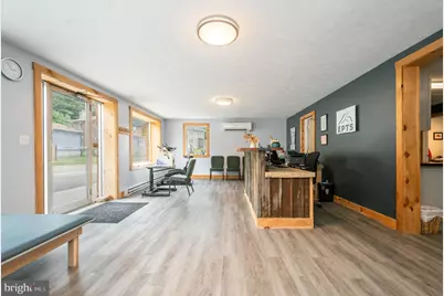 541 Spruce Street, Thomas, WV 26292 - Photo 29