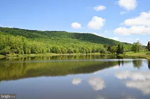 344 Mallow Lake Dr, Davis, WV 26260 - Photo 17