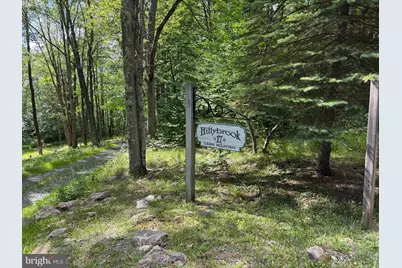 1077 Sand Run Rd, Davis, WV 26260 - Photo 23