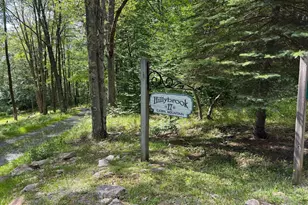 1077 Sand Run Rd, Davis, WV 26260 - Photo 23