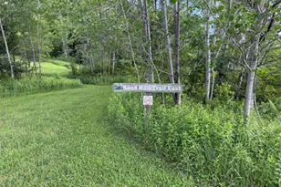 1077 Sand Run Rd, Davis, WV 26260 - Photo 69