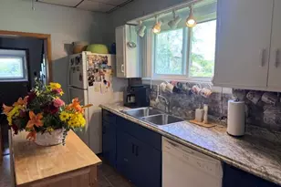 138 Brown St, Thomas, WV 26292 - Photo 29