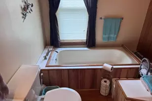 138 Brown St, Thomas, WV 26292 - Photo 41