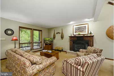 195 Brookside Road, Davis, WV 26260 - Photo 25