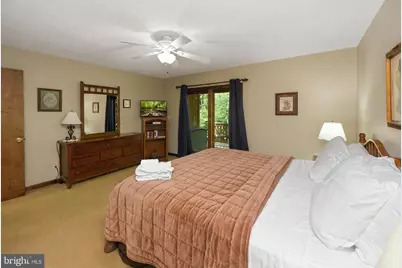 195 Brookside Road, Davis, WV 26260 - Photo 43