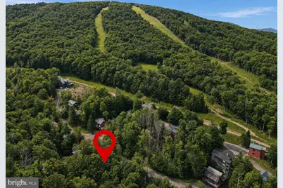 195 Brookside Road, Davis, WV 26260 - Photo 3