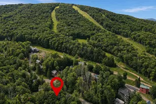 195 Brookside Rd, Davis, WV 26260 - Photo 3