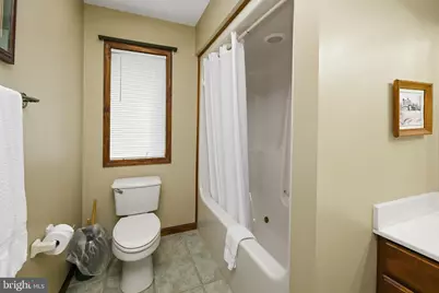 195 Brookside Road, Davis, WV 26260 - Photo 45