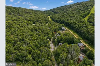 195 Brookside Road, Davis, WV 26260 - Photo 19