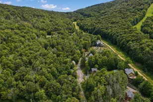 195 Brookside Rd, Davis, WV 26260 - Photo 19