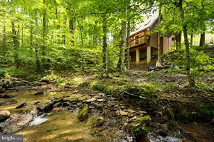 195 Brookside Rd, Davis, WV 26260 - Photo 11