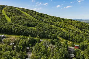 195 Brookside Rd, Davis, WV 26260 - Photo 21