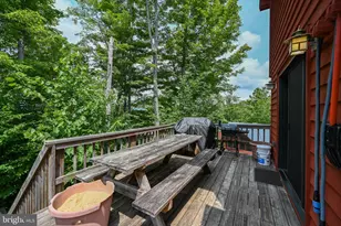 330 Slopeside Rd, Davis, WV 26260 - Photo 17